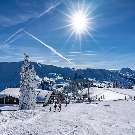 Appartement 20 M From The Kitzski Lift