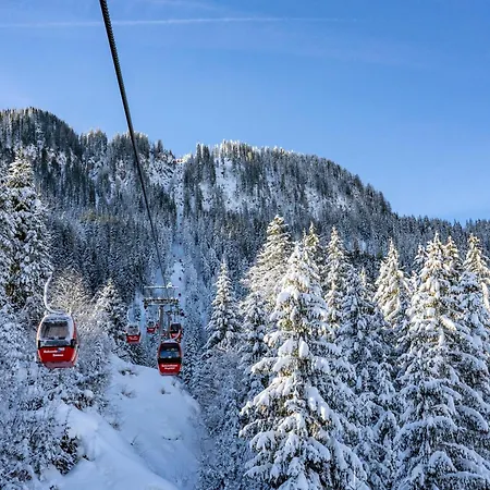 20 M From The Kitzski Lift *