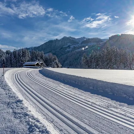 Appartement 20 M From The Kitzski Lift *