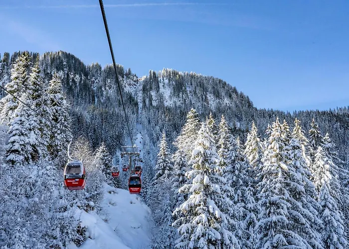 20 M From The Kitzski Lift *