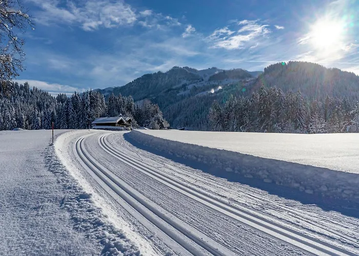 Lägenhet 20 M From The Kitzski Lift *